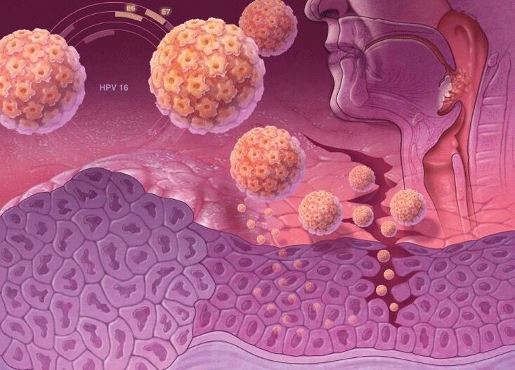 Penetração do HPV no corpo humano